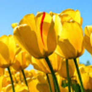 Meet your Posher, Gretchen